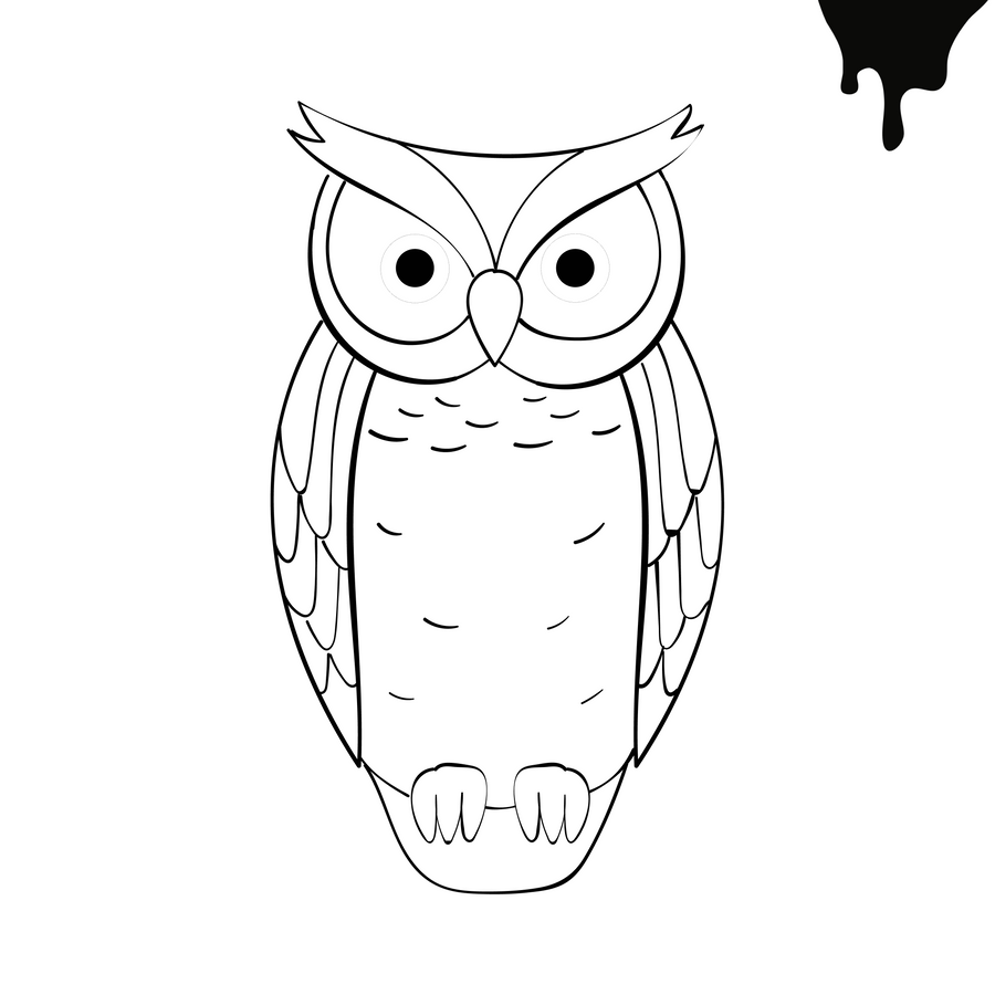 Owl P1