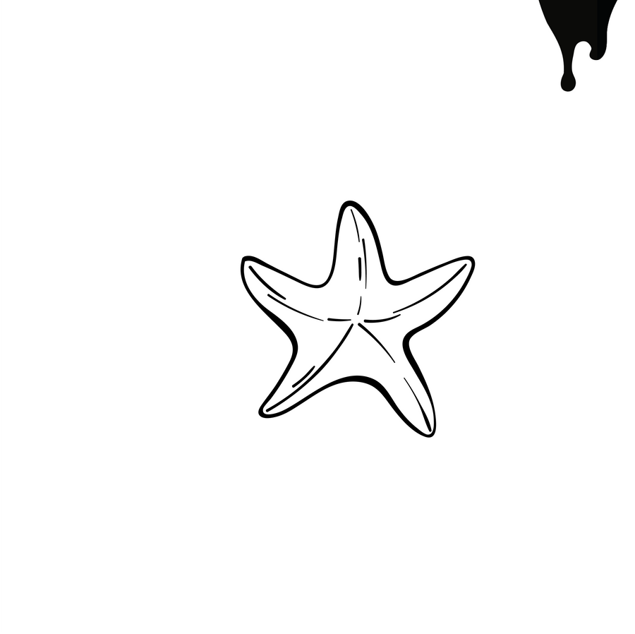 Starfish 2 pcs.